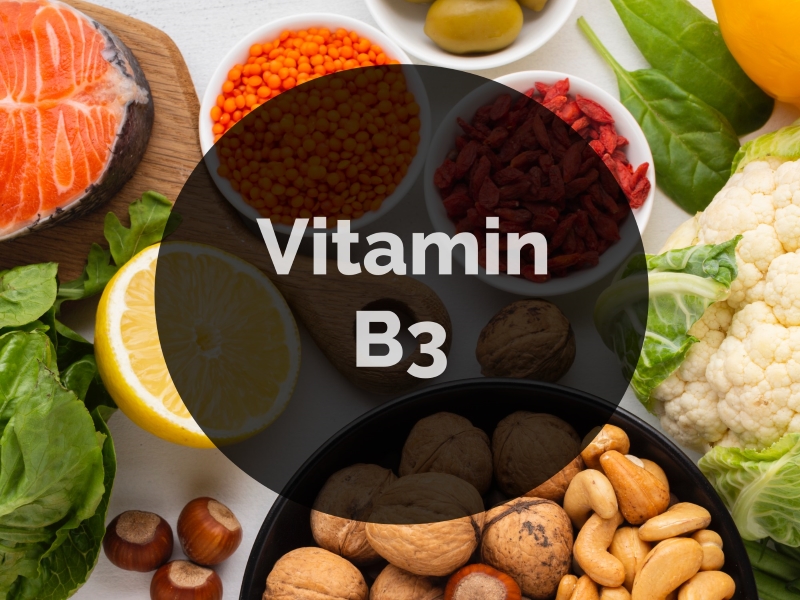 Vitamin B3 có trong thực phẩm nào là chủ yếu?