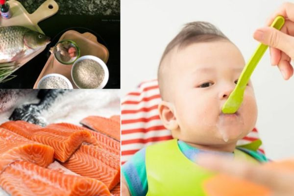 Bé mấy tháng thì ăn được cá hồi? Những lưu ý khi chế biến cá hồi cho bé ăn